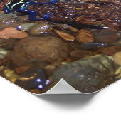 Poster met giftefriskikkers (Hoek)