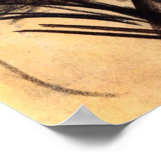 Poster met Giovanni Boldini Schilting (Hoek)