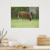 Poster met grazende kastanjebruine paard (Keuken)