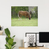 Poster met grazende kastanjebruine paard (Thuiskantoor)