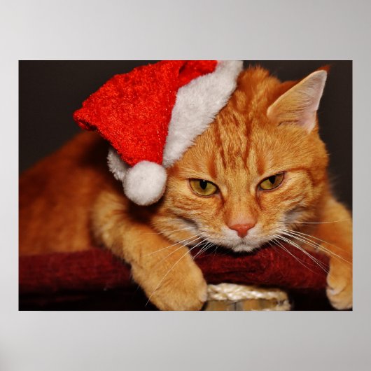 Poster met Grumpy Cat in een Rode Kerstman Hoed (Voorkant)