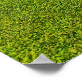 Poster met gulgat (Hoek)