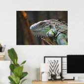 Poster met hoofd van de kleurrijke Iguana hagedis (Thuiskantoor)