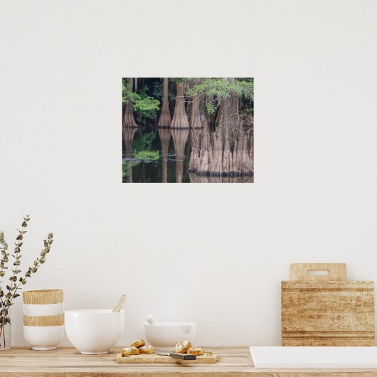 poster met kale Cypress-bomen (Keuken)