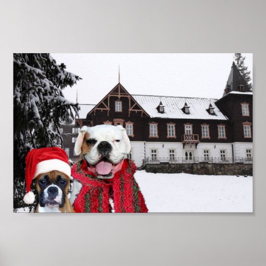 Poster met kerstbozen (Voorkant)