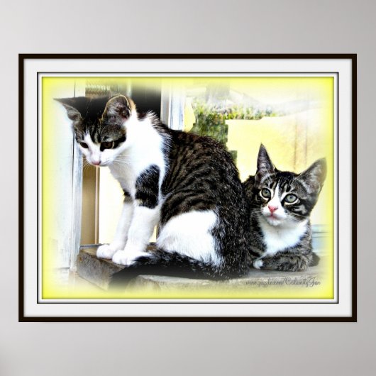 Poster met keukenkooksing (Voorkant)