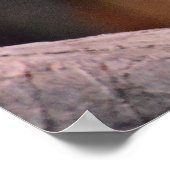 Poster met kleurrijke Iguana hagedis (Hoek)