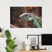 Poster met kleurrijke Iguana hagedis (Thuiskantoor)