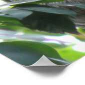 Poster met klimmende gleuf (Hoek)