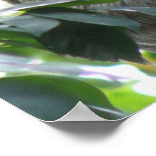 Poster met klimmende gleuf (Hoek)