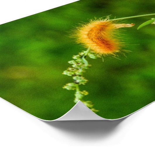 Poster met kraakbeenworm (Hoek)