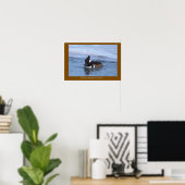 Poster met Kuifduikereend (Thuiskantoor)