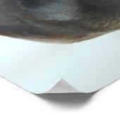 Poster met kwartpaarden (Hoek)