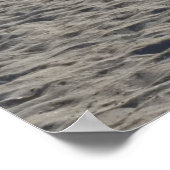 Poster met meeuwen (Hoek)