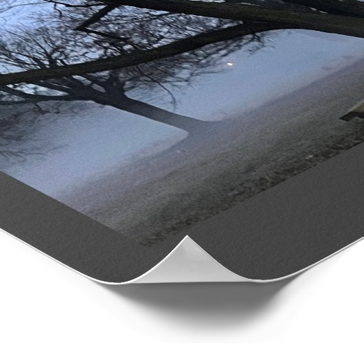 Poster met mist en bomen (Hoek)