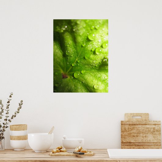 Poster met mysterie-bladeren (2) (Keuken)