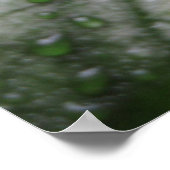 Poster met mysterie-bladeren (3) (Hoek)