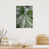 Poster met mysterie-bladeren (3) (Keuken)