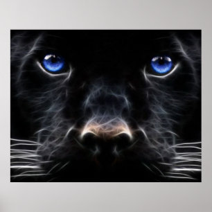 Poster met mystisch blauw oogstvlees