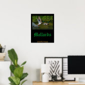 Poster met opvliegende wilde eend (Thuiskantoor)