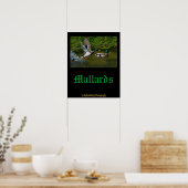 Poster met opvliegende wilde eend (Keuken)