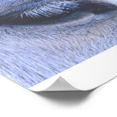 Poster met paard en gedicht van Anna Blake. (Hoek)