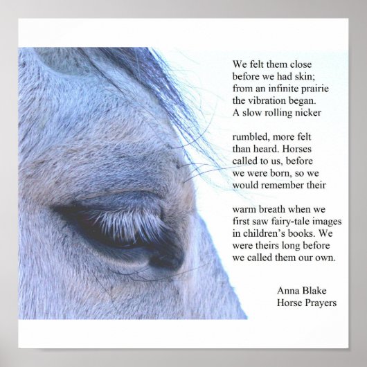 Poster met paard en gedicht van Anna Blake. (Voorkant)