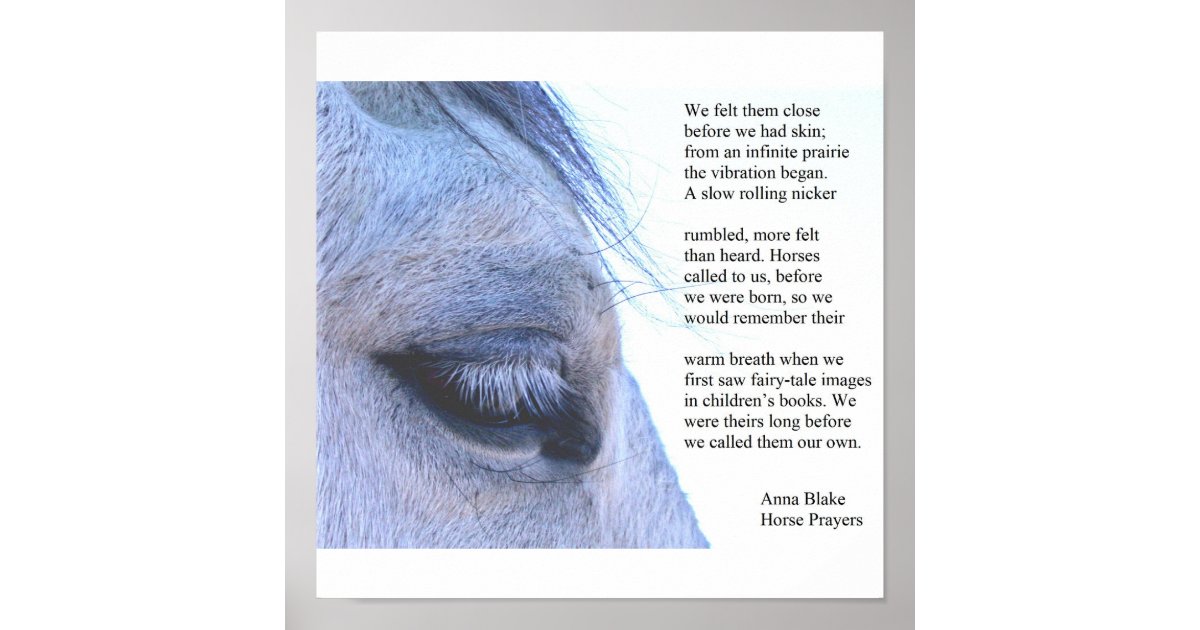 Poster met paard en gedicht van Anna Blake. Zazzle.nl