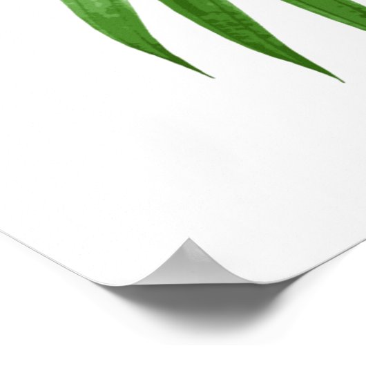 Poster met palmlebschil (Hoek)