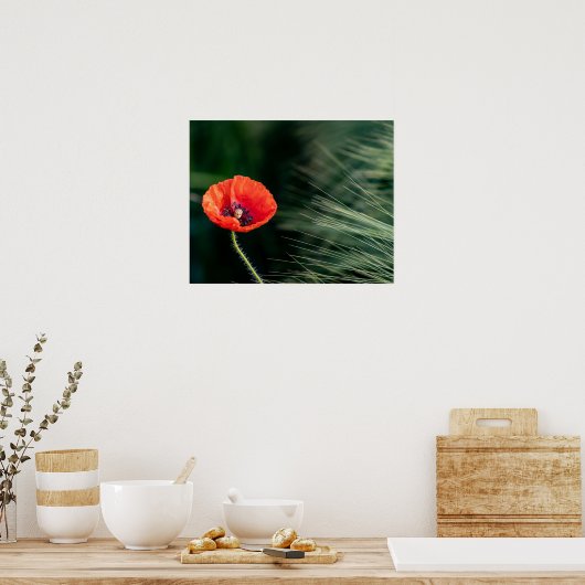 Poster met papaverventilator (Keuken)