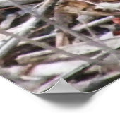 Poster met pileated Woodpecker Pecking (Hoek)