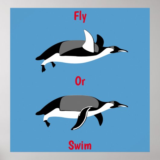 Poster met pinguïn Fly of Swim (Voorkant)