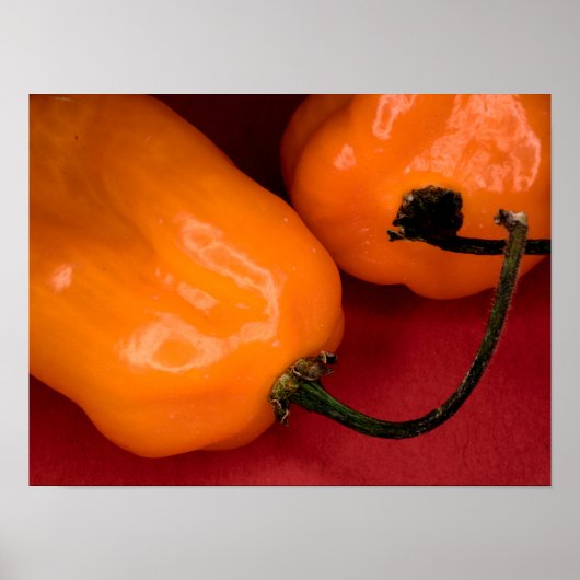 Poster met pittige habanero pepers (Voorkant)