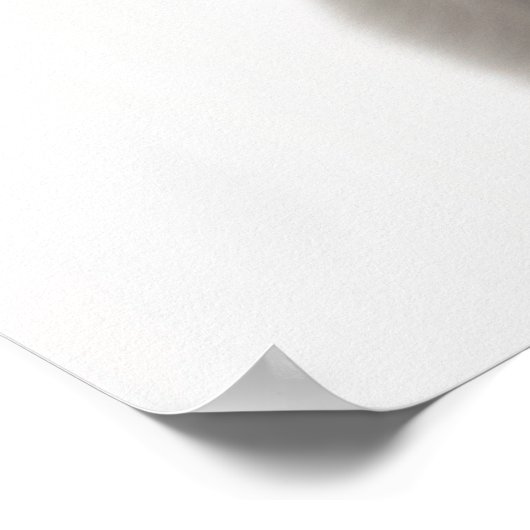 Poster met portret van een Franse Spaniel puppy ho (Hoek)