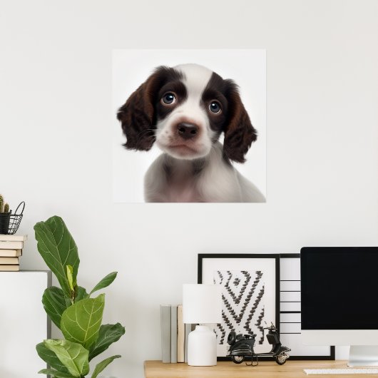 Poster met portret van een Franse Spaniel puppy ho (Thuiskantoor)