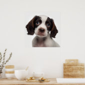 Poster met portret van een Franse Spaniel puppy ho (Keuken)