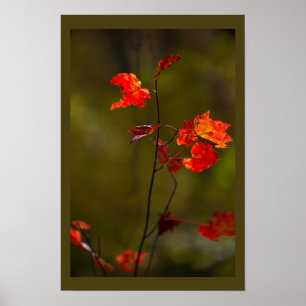 Poster met rode bladeren en takken