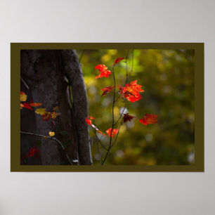 Poster met rode bladeren en takken