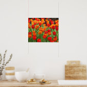 Poster met rode en Oranje tulpen (Keuken)