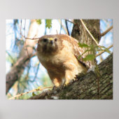 Poster met rode schouderklopjes (Voorkant)