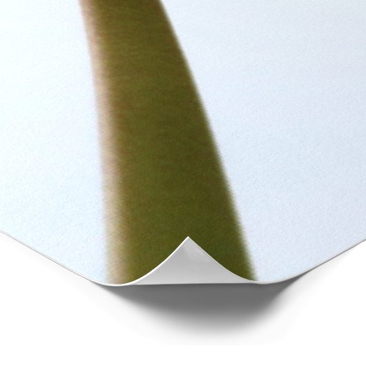 Poster met rode tulpen (Hoek)