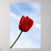Poster met rode tulpen (Voorkant)