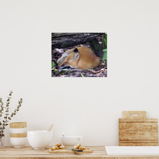 Poster met rode vos (Keuken)