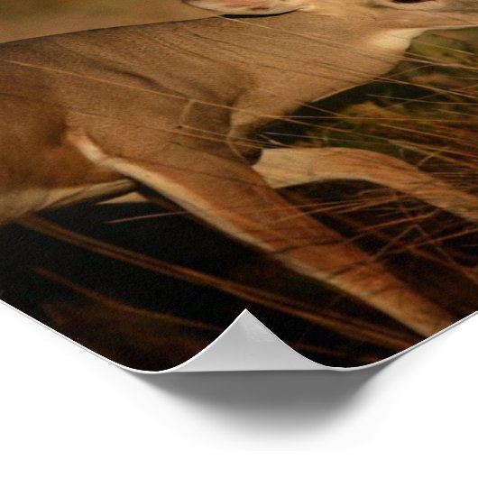 Poster met rondlopen (Hoek)