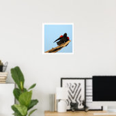 Poster met Roodvleugeltroepiaal (Thuiskantoor)