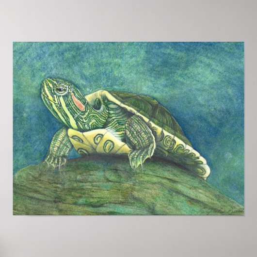 Poster met roodwangschildpad (Voorkant)