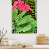 Poster met roze bloem (Keuken)