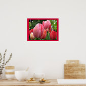 Poster met roze en rode lente Tulip Garden Flowers (Keuken)