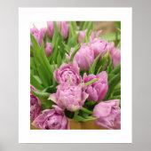 Poster met roze tulpen (Voorkant)