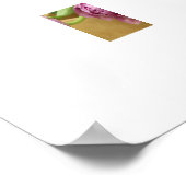 Poster met roze tulpen (Hoek)